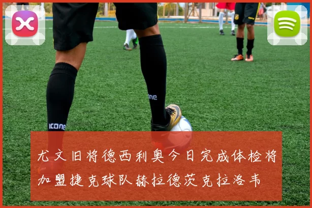 尤文旧将德西利奥今日完成体检将加盟捷克球队赫拉德茨克拉洛韦