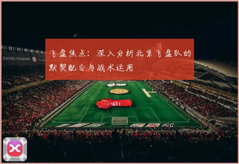飞盘焦点:深入分析北京飞盘队的默契配合与战术运用