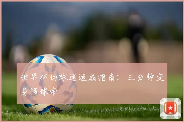 世界杯伪球迷速成指南：三分钟变身懂球帝