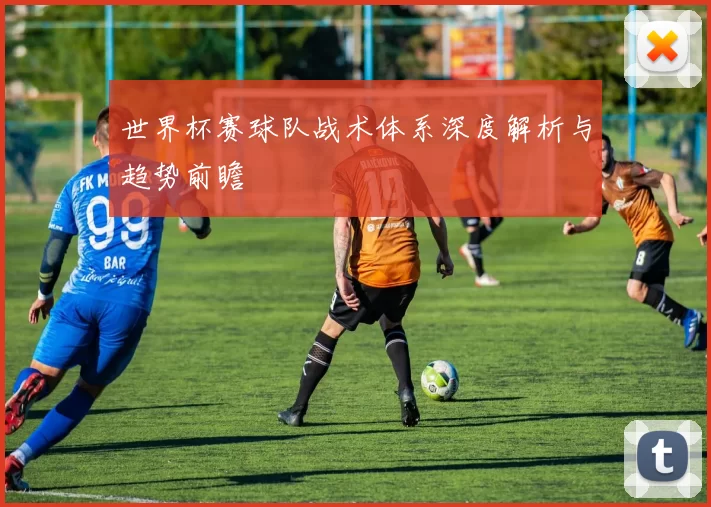 世界杯赛球队战术体系深度解析与趋势前瞻