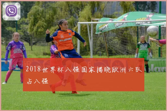 2018世界杯八强国家揭晓欧洲六队占八强