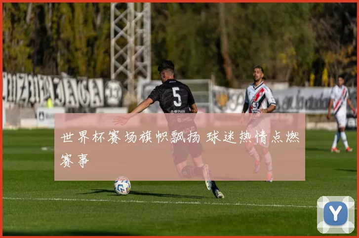 世界杯赛场旗帜飘扬 球迷热情点燃赛事
