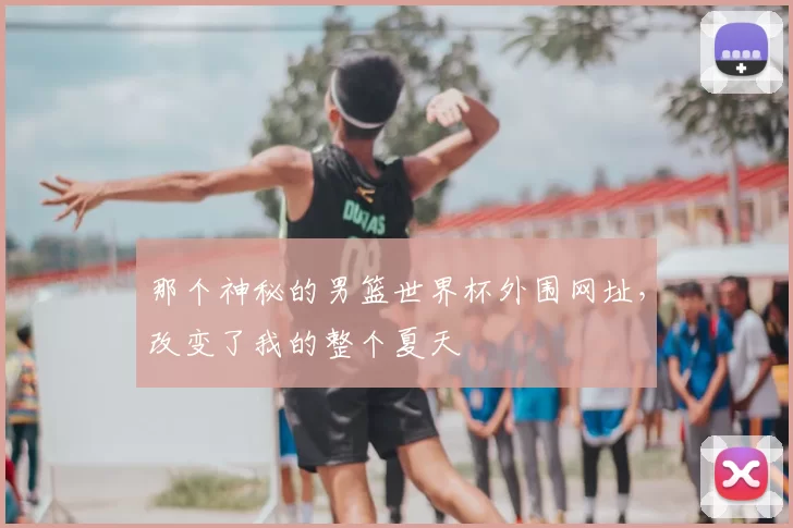 那个神秘的男篮世界杯外围网址，改变了我的整个夏天
