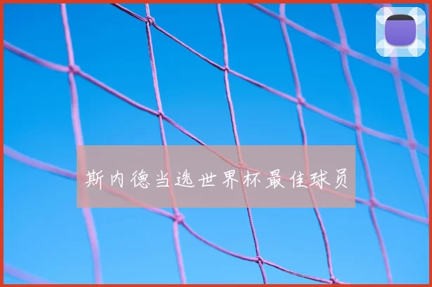斯内德当选世界杯最佳球员