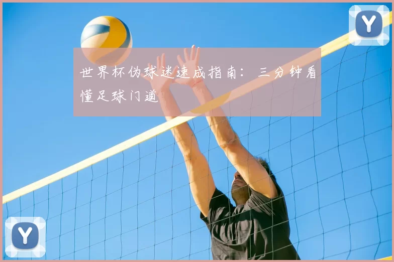 世界杯伪球迷速成指南：三分钟看懂足球门道