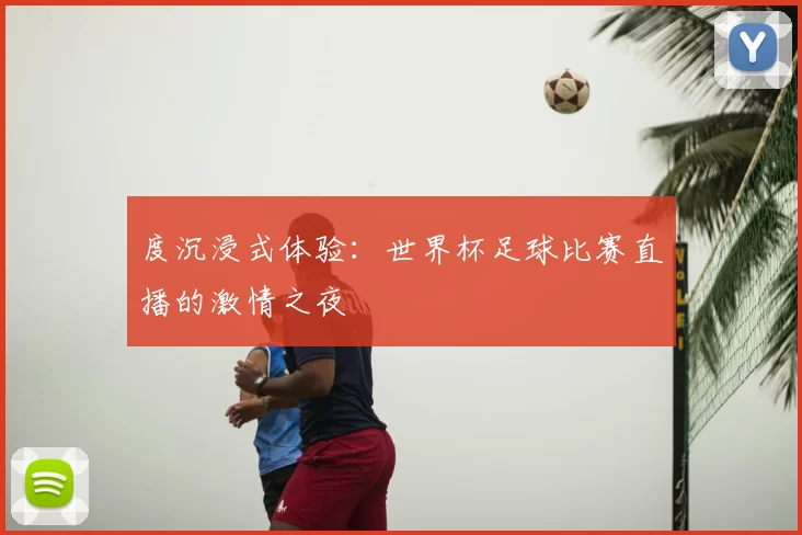 度沉浸式体验：世界杯足球比赛直播的激情之夜