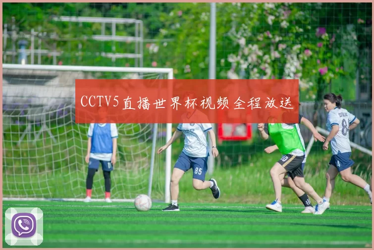 CCTV5直播世界杯视频全程放送