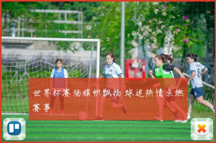 世界杯赛场旗帜飘扬 球迷热情点燃赛事