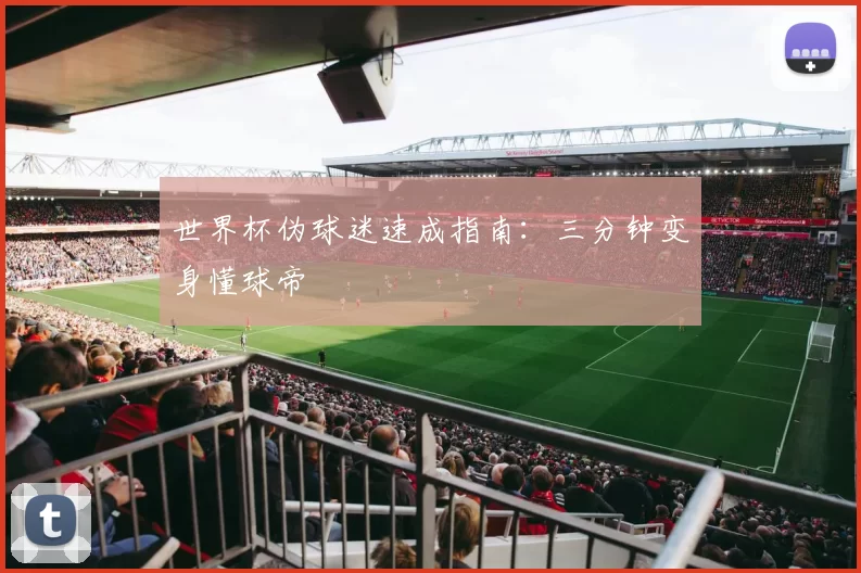 世界杯伪球迷速成指南：三分钟变身懂球帝
