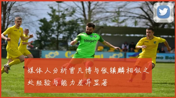 媒体人分析曾凡博与张镇麟相似之处经验与能力差异显著